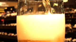 The beer slowly pours into the glass