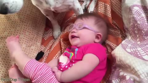 Baby the Beagle making Baby James Laugh Funny Dogs