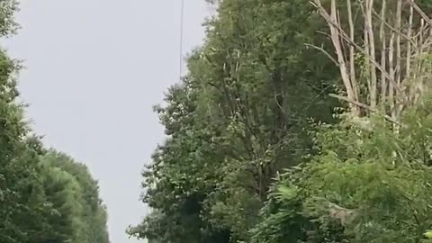 Helicopter Chainsaw Trims Through Trees like Butter