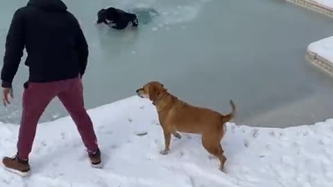 Moonwalk on Frozen Pool Fail