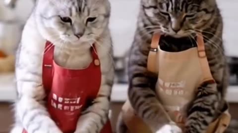 Adorable Cats Baking a Cake Together! 🐱🍰" #cat #cat lover #cat cooki g