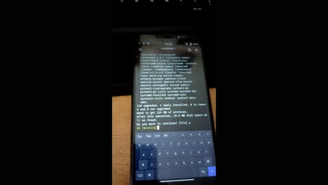 Kali Nethunter Pro apps setup on Pinephone