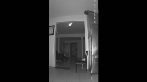 Amazing Spectacular Spirit Orb Unexplained Paranormal 2019