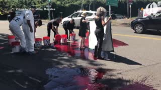 Portland protesters protest ICE and Trump