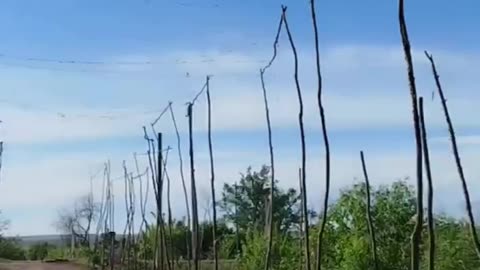 The military hung fishing nets to hide from drones.