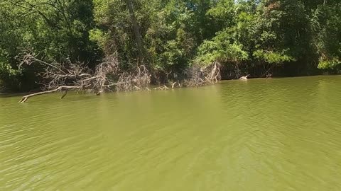 Bosque and Brazos River Trip