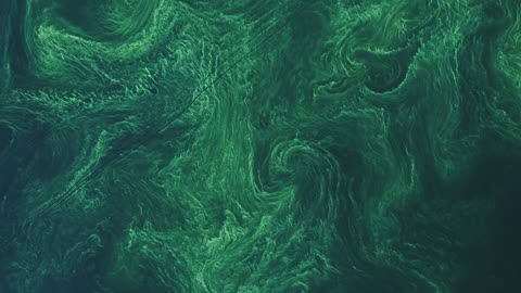 Monitoring Algal Blooms from Space: Landsat's Vital Role