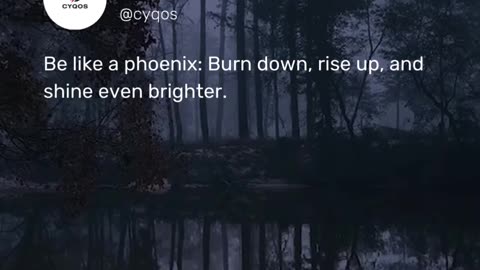 Be like a phoenix: Burn down, rise up, and shine even brighter.