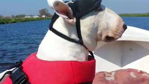 Bullie boating