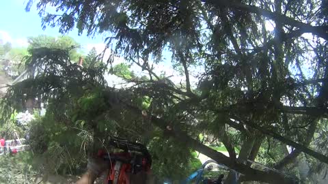 Genie 65 foot man-lift to trimming trees