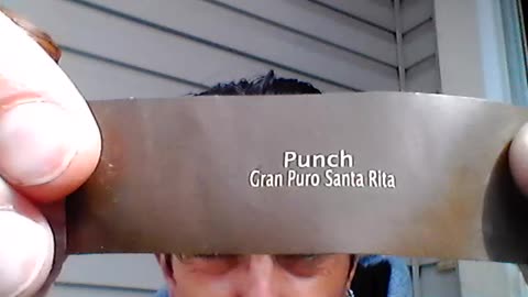 Reviewing the Punch Puro Santa Rita
