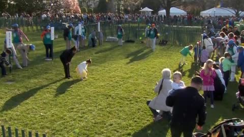 Annual White House Easter Egg Roll gets underway