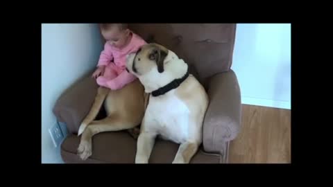 Vicious bulldog and his baby_batch