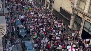 Thousands chant “Cease Fire Now” at a demonstration in Downtown LA.