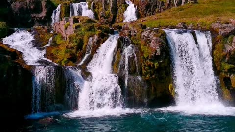 "Nature's symphony, played on the shores of a mountain lake