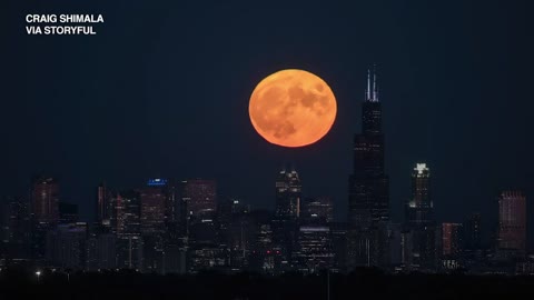 Sturgeon Moon 2022: Timelapse video shows August supermoon behind Chicago skyline