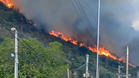Incendio forestal amenazó a tres barrios de Bucaramanga