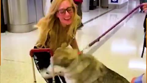 Hilarious Airport moment, watch this video