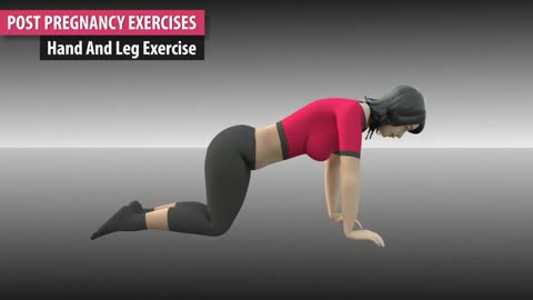How to Lose Belly Fat After Pregnancy | Ten Effective Exercises