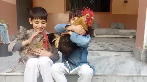 child and hen