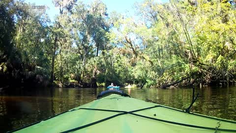 Alafia River Kayak trip June 2020