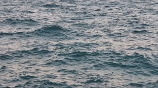 Undulating Waves of Lake Michigan