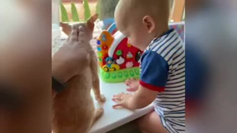 AWW Animals soo cute! Cute baby animals video compilation cute moment of the animals.