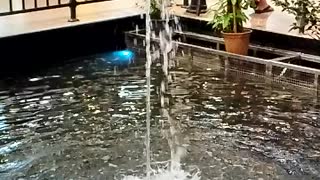 Slo-Mo 💦 fountain