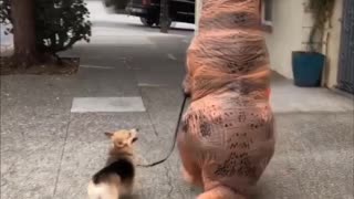 T-Rex Walking a Corgi