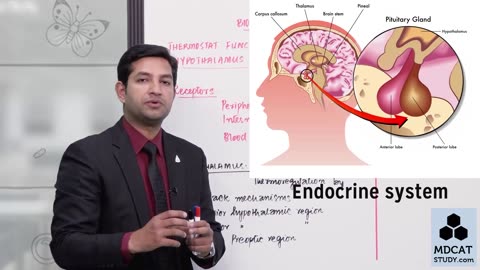 LEC#16 THERMOSTAT FUNCTION OF HYPOTHALAMUS