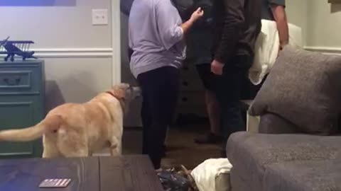 Thanksgiving surprise! Son surprises mom