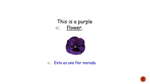 Palabra Del día en Inglés ' flower '