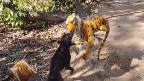 Wow Nice 2 Dogs Pranks!!! Fake Tiger Prank Dog So Funny Dog Try To Stop Laugh Challenge Comedy Video