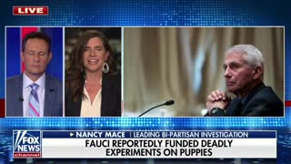 Rep. Nancy Mace slams Fauci's involvement with cruel experiments on puppies