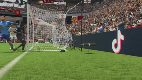 Fifa Goal 11