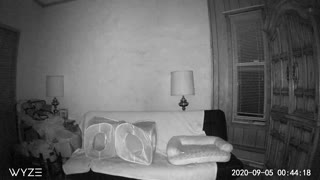 Security Cam Captures Floating Orb