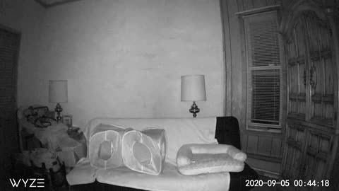 Security Cam Captures Floating Orb