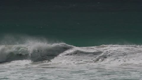 Waves and a group dolphins at Twilight Beach in Great Ocean Drive, Esperance, Western Australia