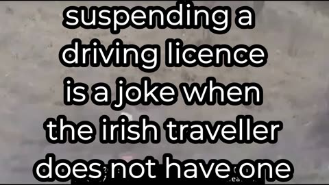 irish traveller, nearly kills a cop, and a hundred other people, and