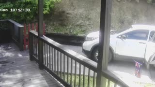 Hungry Bear Opens Car Door for Snacks