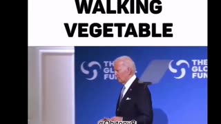 Biden is a walking vegetable.