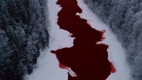 A red #river in #russia after some #chemicals got into it #nature #fall #forest #mountains #snow