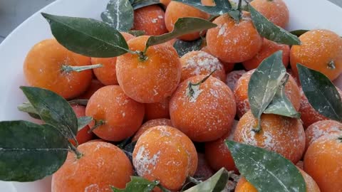 How to Prepare Freshly Picked Oranges, Lemons, Persimmons from your Garden.