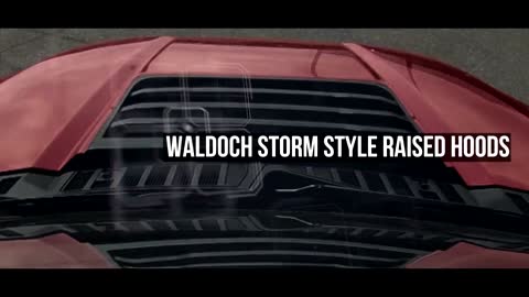 Waldoch Storm Look a Like Raptor - Lifted F150 Off- Road