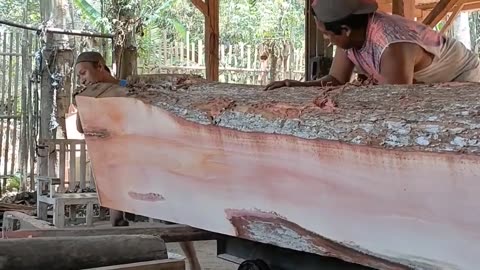 The Process Of Sawing The Largest Monster Mahogany Wood, Truck Bed Board Material At The Sawmill