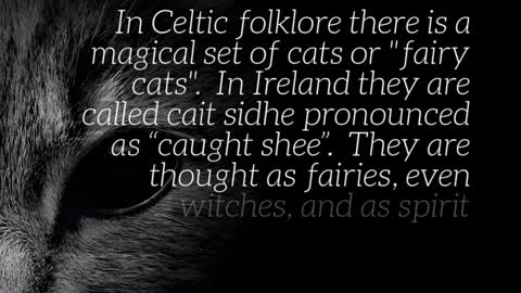 The Celtic Cats and other Celtic Animals