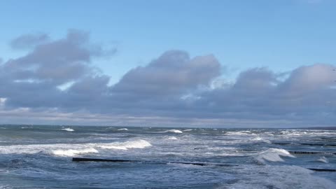 birds-flying-over-sea-waves-