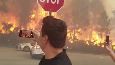 Fast Fire Rushes Toward Onlookers