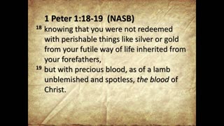 1 PETER 1:18-19 NASB 11824 0000382 18238 49