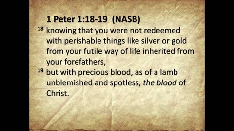 1 PETER 1:18-19 NASB 11824 0000382 18238 49